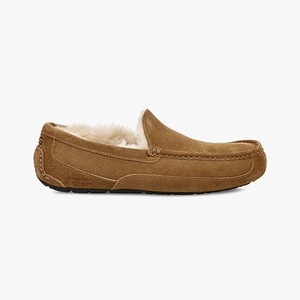 Ugg Ascot Tofflor Herr Bruna (617305ELZ)